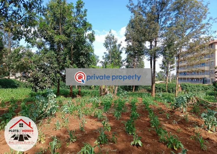 Kikuyu